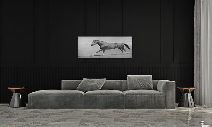 M1 0032 MML 0011 ML 0048 15251768 horse galloping AOAY2803