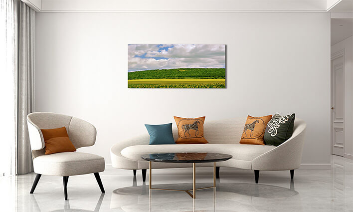 M2 0014 MML 0031 ML 0028 22960794 sunflowers field in bulgaria AOAY2824