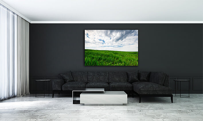 M2 0018 ML 0006 30338314 green wheat or grass and blue sky with clouds farmland or count AOAY2677