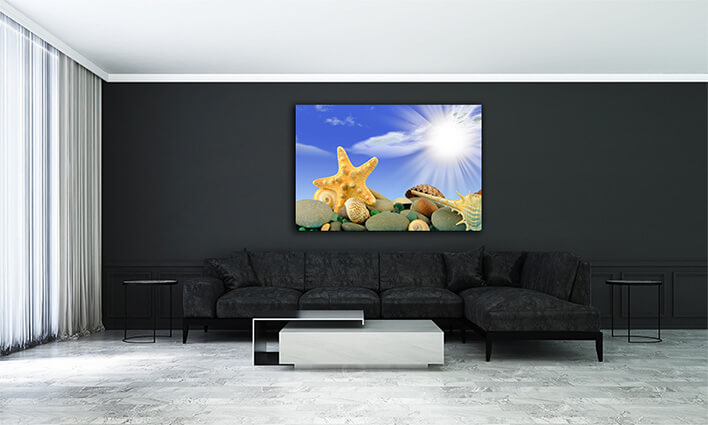 M2 0024 ML 0044 2139985 starfish and set of objects of the sea underwater world AOAY1130