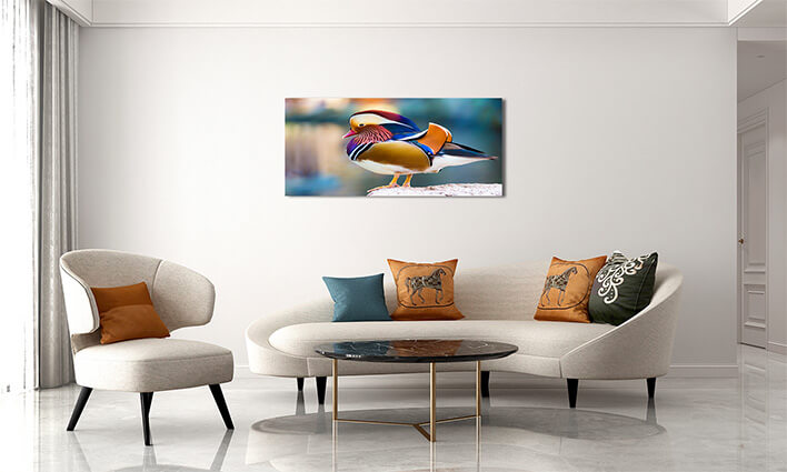 M2 0033 MML 0012 ML 0047 15295106 mandarin duck AOAY2804