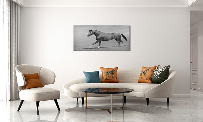 M2 0034 MML 0011 ML 0048 15251768 horse galloping AOAY2803