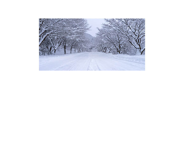 M3_0000_ML_0044_25808022_road-and-tree-covered-by-snow-in-winter_AOAY2766
