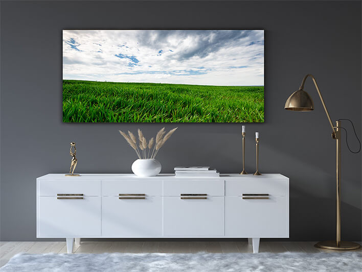 M3 0020 ML 0006 30338314 green wheat or grass and blue sky with clouds farmland or count AOAY2677