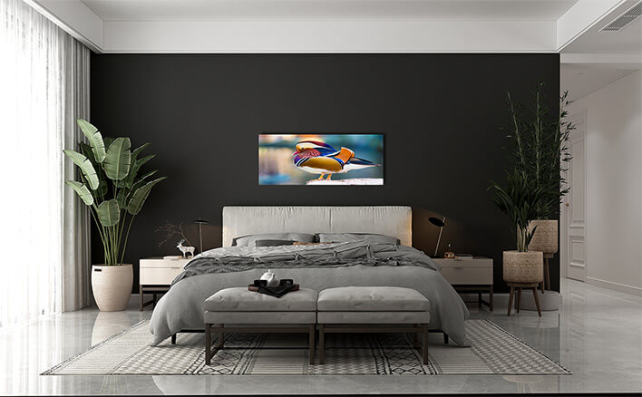 M4 0024 MML 0012 ML 0047 15295106 mandarin duck AOAY2804