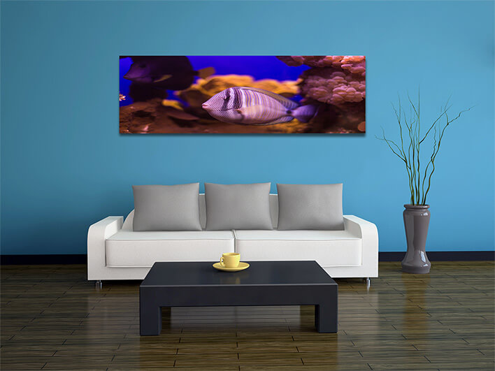 M5 0030 ML 0041 20319492 fish underwater world AOAY1153