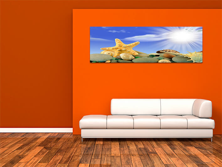 M6 0025 ML 0044 2139985 starfish and set of objects of the sea underwater world AOAY1130