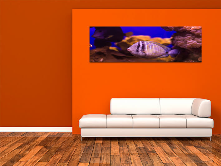 M6 0028 ML 0041 20319492 fish underwater world AOAY1153