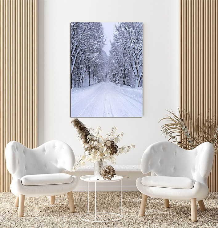 M6_0066_MP_0036_PRINT_L_0043_25808022_road-and-tree-covered-by-snow-in-winter_AOAY2766