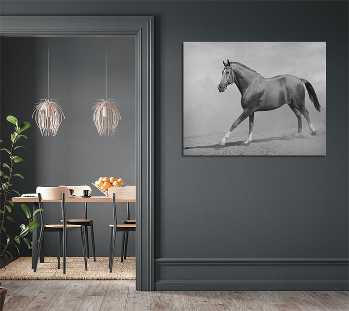 M7 0007 MML 0011 ML 0048 15251768 horse galloping AOAY2803