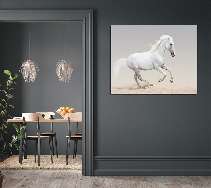 M7 0010 MML 0008 ML 0051 12937358 orlov trotter AOAY2800