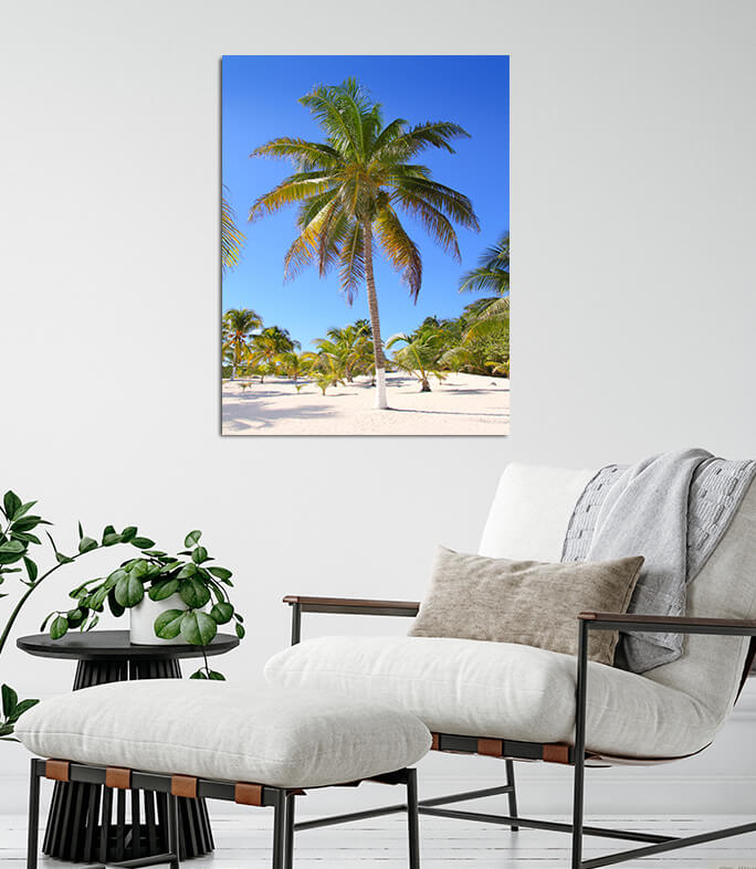 M7_0011_MP_0030_PRINT_P_0032_4924542_coconut-palm-trees-white-sand-tropical-paradise_AOAY1501