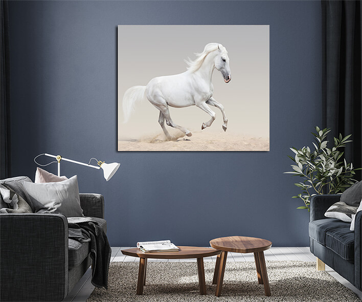 M8 0017 MML 0008 ML 0051 12937358 orlov trotter AOAY2800