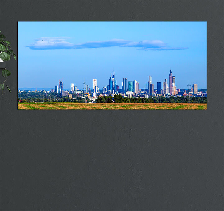 M8 0038 MP 0029 7865290 skyline of frankfurt AOAY3085