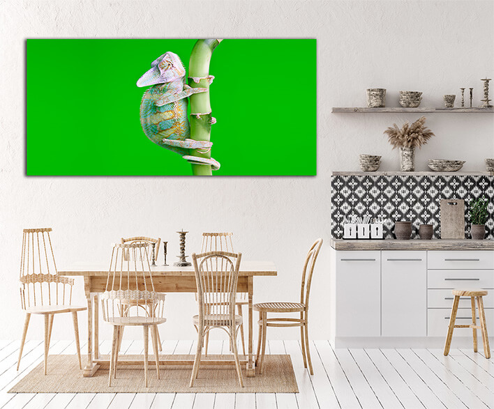 M8 0042 MOCKUP L 0066 1609187 beautiful chameleon AOAY1856