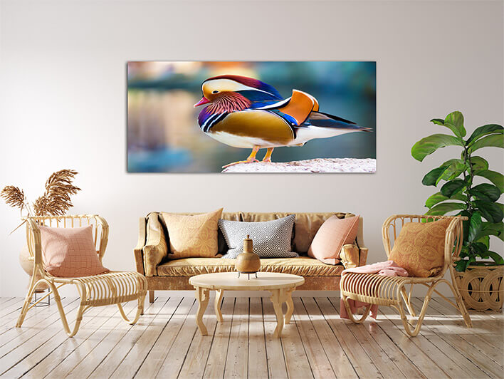 M9 0010 MML 0012 ML 0047 15295106 mandarin duck AOAY2804