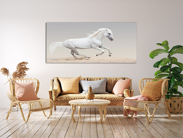 M9 0014 MML 0008 ML 0051 12937358 orlov trotter AOAY2800