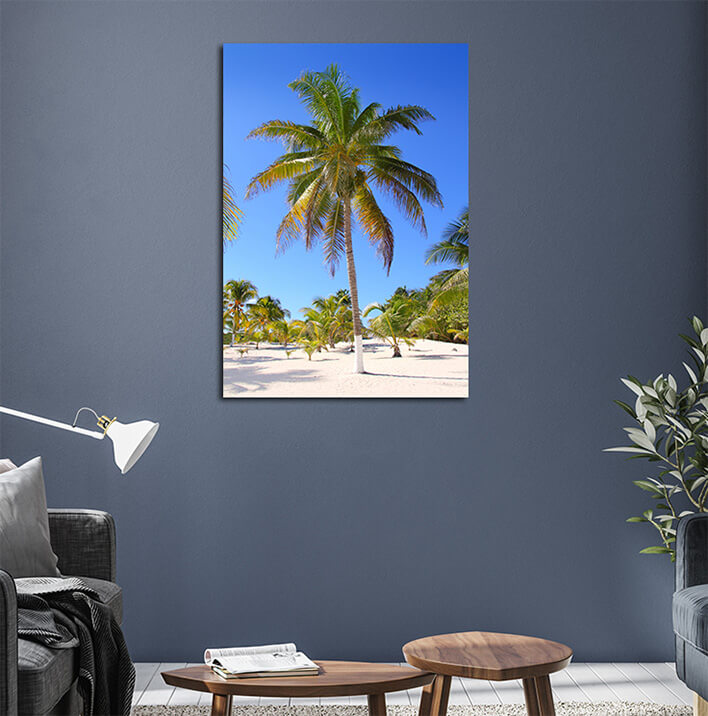 N1_0012_MP_0030_PRINT_P_0032_4924542_coconut-palm-trees-white-sand-tropical-paradise_AOAY1501