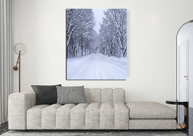 N3_0070_MP_0036_PRINT_L_0043_25808022_road-and-tree-covered-by-snow-in-winter_AOAY2766