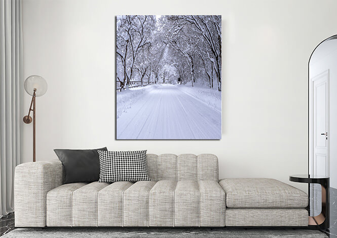 N3_0071_MP_0037_PRINT_L_0044_25808018_road-and-tree-covered-by-snow-in-winter_AOAY2765