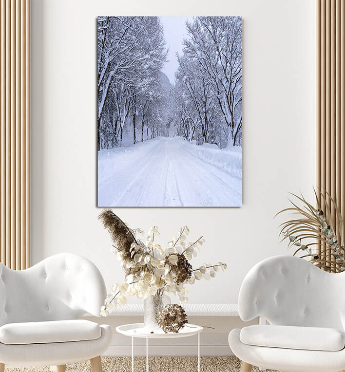 N5_0066_MP_0036_PRINT_L_0043_25808022_road-and-tree-covered-by-snow-in-winter_AOAY2766