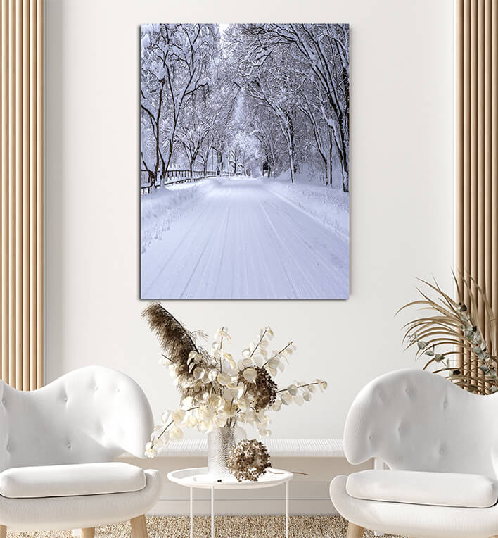 N5_0067_MP_0037_PRINT_L_0044_25808018_road-and-tree-covered-by-snow-in-winter_AOAY2765