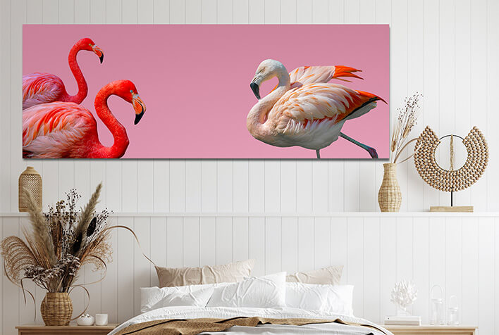 N6 0034 ML 0002 36061828 flamingos isolated at gradient pink background AOAY2754