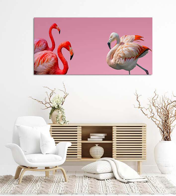S2 0021 ML 0002 36061828 flamingos isolated at gradient pink background AOAY2754