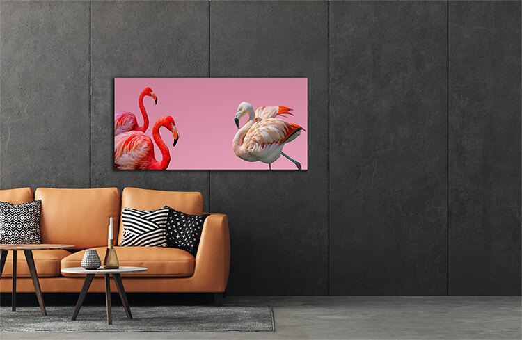 S6 0027 ML 0002 36061828 flamingos isolated at gradient pink background AOAY2754