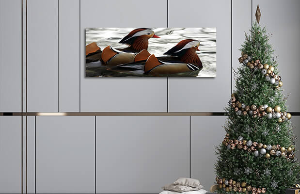 6M 0017 MML 0046 ML 0013 61516 two mandarin ducksAOAY2774