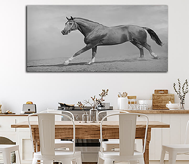 M06 0007 ML 0011 15251768 horse galloping AOAY3364
