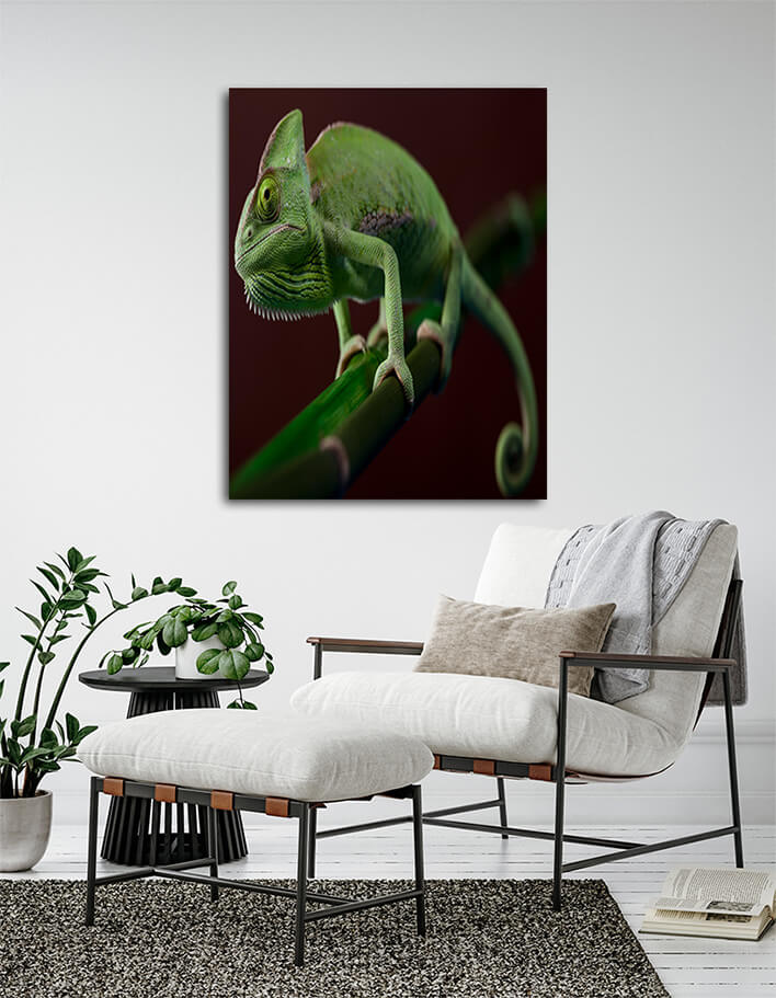 M16 0029 MOCKUP P 0102 PRINT 0024 5845136 green chameleon5839670 green chameleon colorful photo AOAY1897