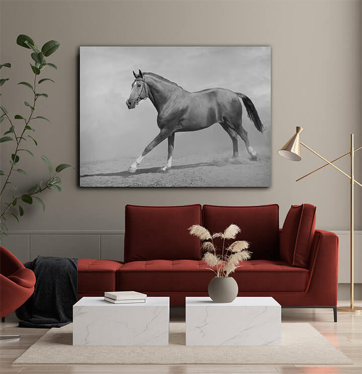 M1 0007 ML 0011 15251768 horse galloping AOAY3364