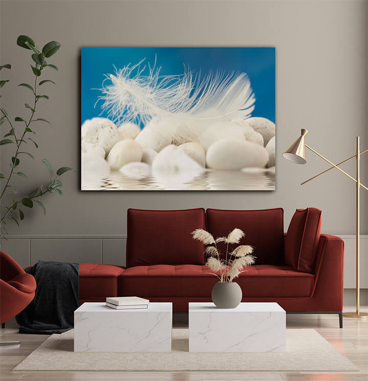 M1 0022 ML 0021 2286077 white feather AOAY3354