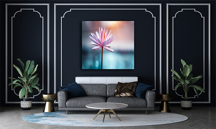 M1 0023 ML 0019 31814226 lotus flower AOAY3385