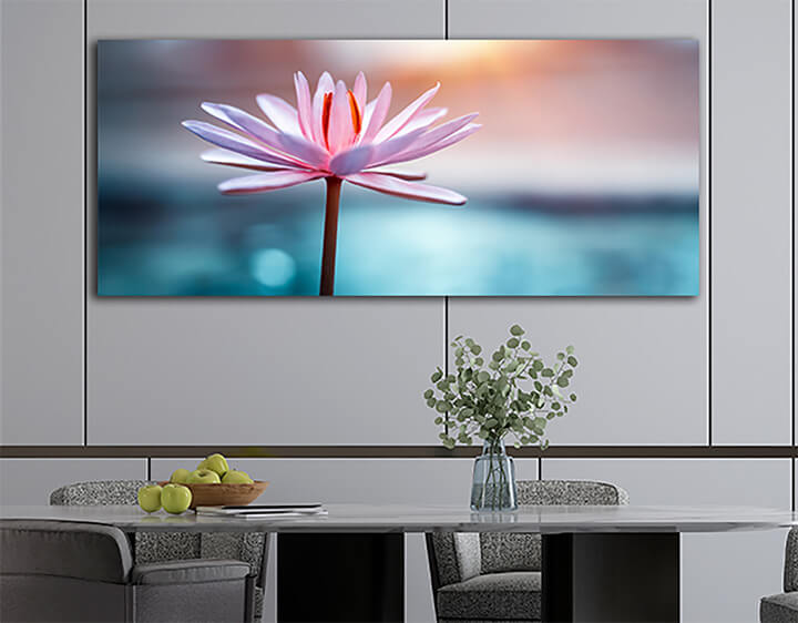 Lotus flower AOAY3385
