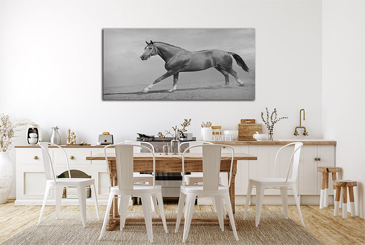 M2 0007 ML 0011 15251768 horse galloping AOAY3364