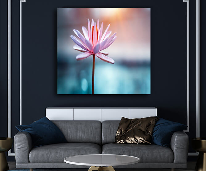 M30 0023 ML 0019 31814226 lotus flower AOAY3385