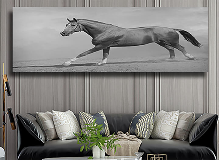 M33 0007 ML 0011 15251768 horse galloping AOAY3364