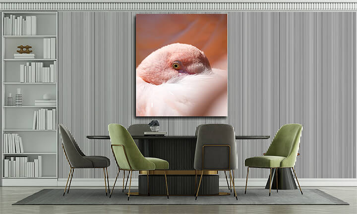 M3 0007 ML 0027 24134784 resting rose flamingo phoenicopterus roseus AOAY3475