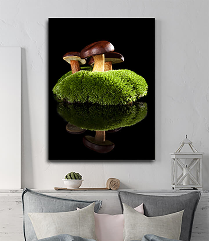 M40 0052 ML 0044 12961246 delicious mushrooms AOAY3009