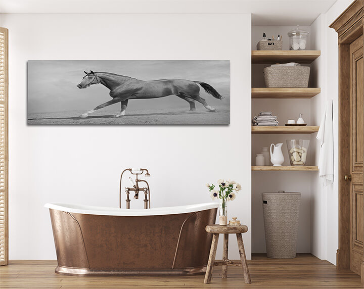 M44 0007 ML 0011 15251768 horse galloping AOAY3364