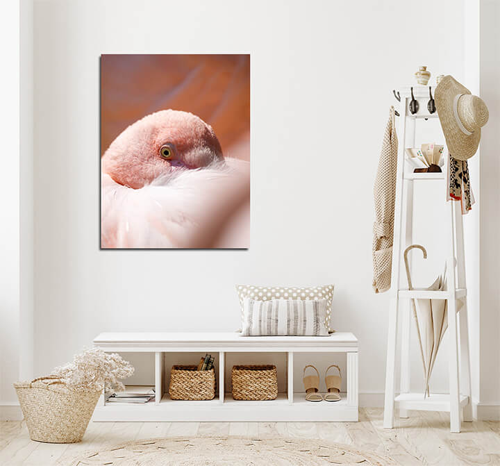 M4 0013 ML 0027 24134784 resting rose flamingo phoenicopterus roseus AOAY3475