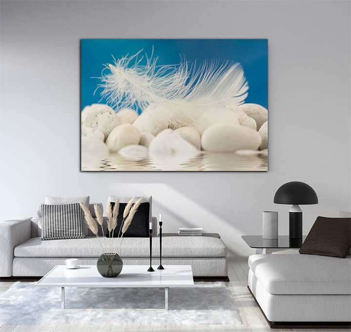 M4 0022 ML 0021 2286077 white feather AOAY3354