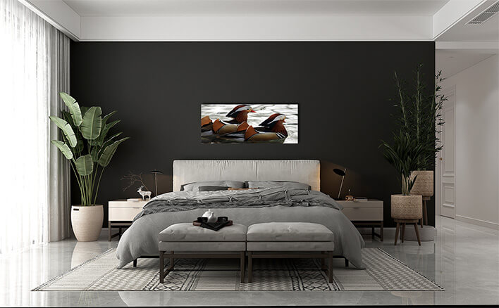 M4 0052 MML 0046 ML 0013 61516 two mandarin ducksAOAY2774