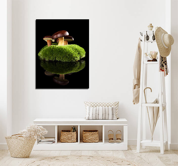 M4 0056 ML 0044 12961246 delicious mushrooms AOAY3009