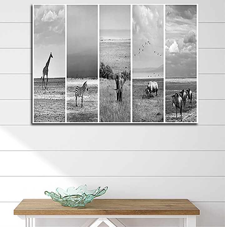 M60 0016 ML 0022 29787624 collage of an african animals AOAY3382
