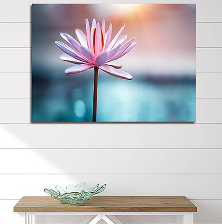 M60 0020 ML 0019 31814226 lotus flower AOAY3385