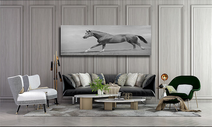 M65 0007 ML 0011 15251768 horse galloping AOAY3364