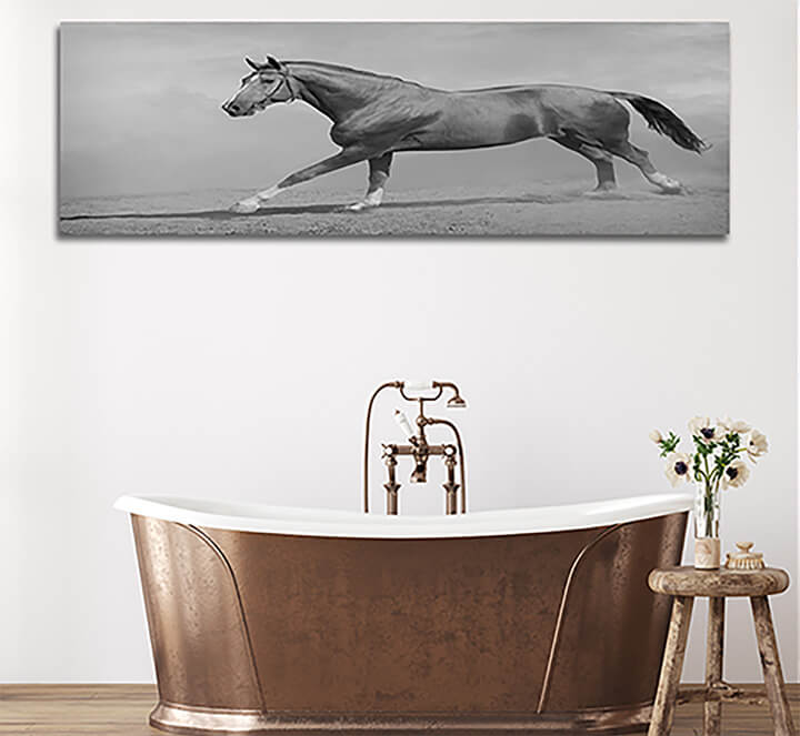 M66 0007 ML 0011 15251768 horse galloping AOAY3364